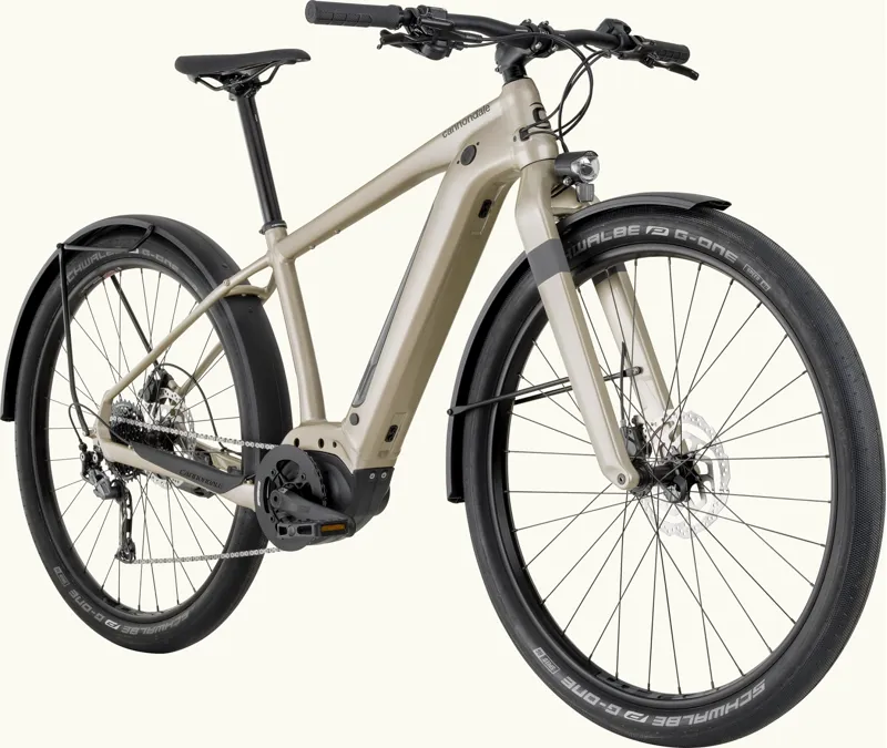 Cannondale Canvas Neo 2 X Sage Grey 29-1