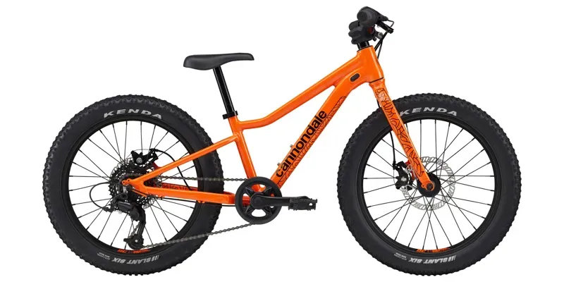 Cannondale Kids Trail Plus 20 (2025)