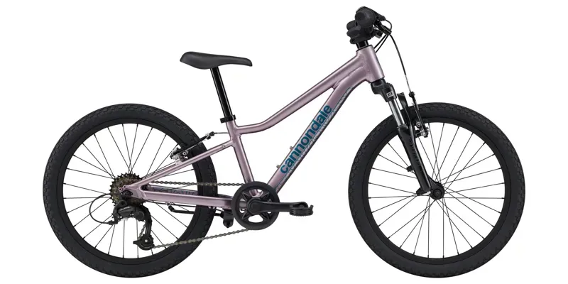 Cannondale Trail 20 (2025): Multiple Colors - OS 20