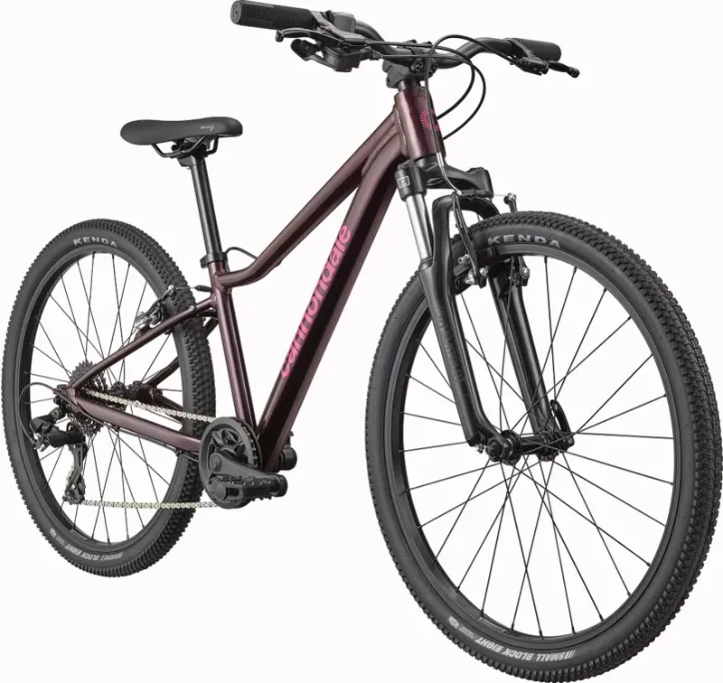 Cannondale Kids Trail 24 2026 in Royal Purple-1