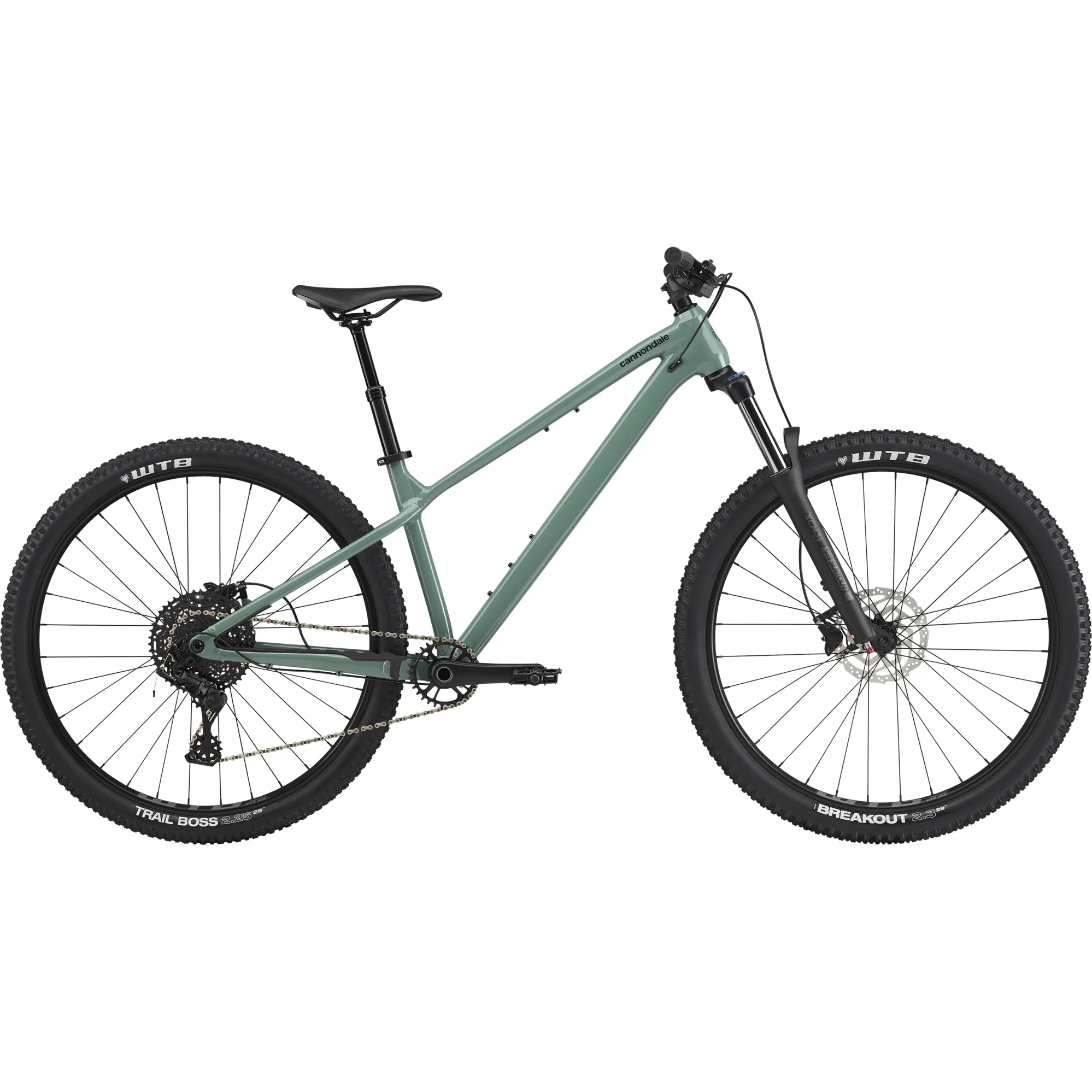 Cannondale Habit HT Mountain Bike in Jade