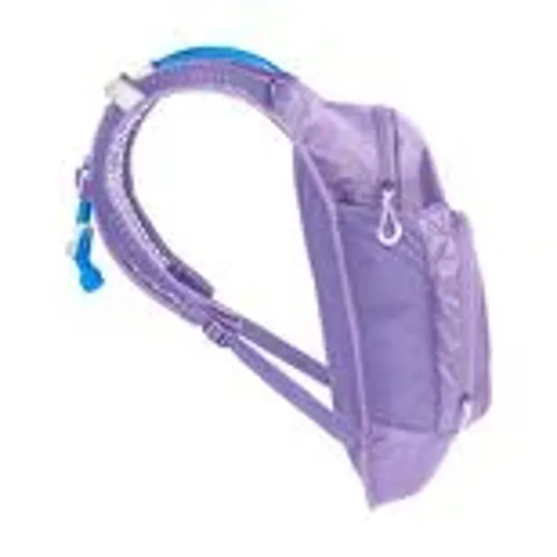 Camelbak Kids' Mini M.U.L.E. 50oz Hydration Pack: Lavender-4