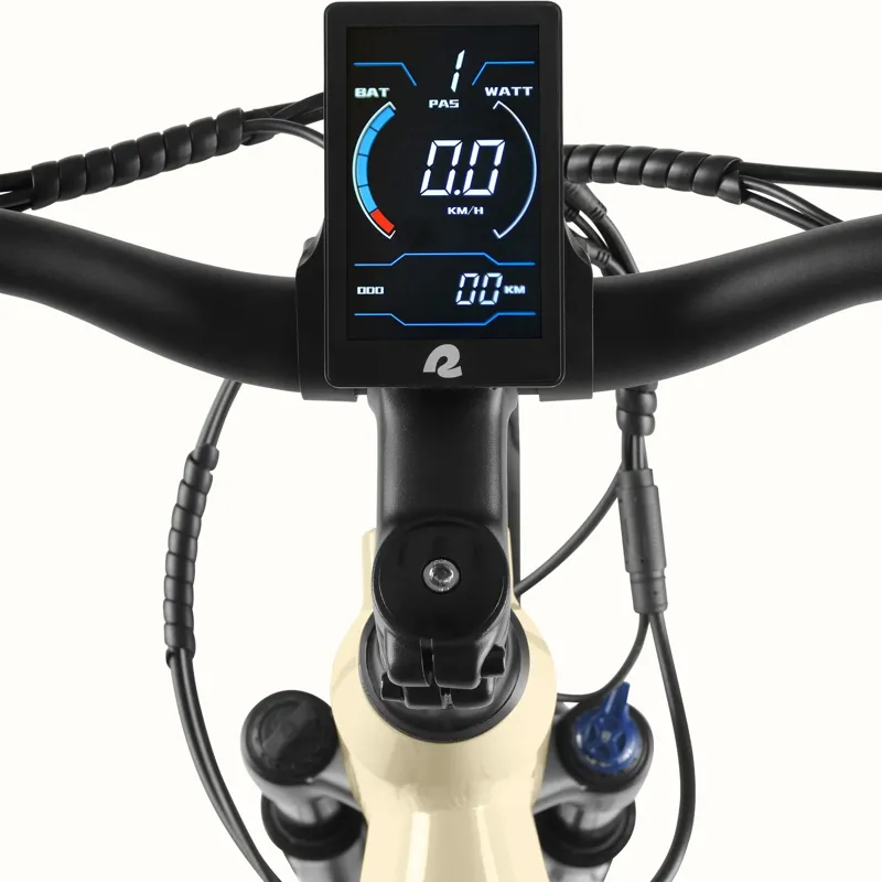 Retrospec Abbot Rev Step Through E-Bike 48V/500W: Oat-3