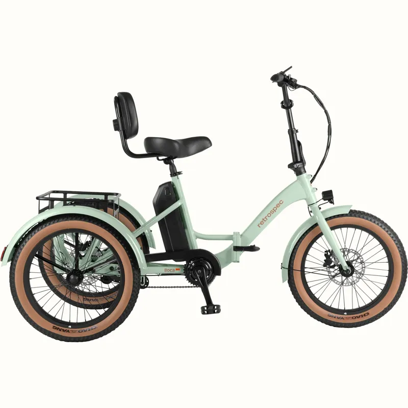 Retrospec Boca Rev Electric Tricycle 48V/500W - Matcha -1