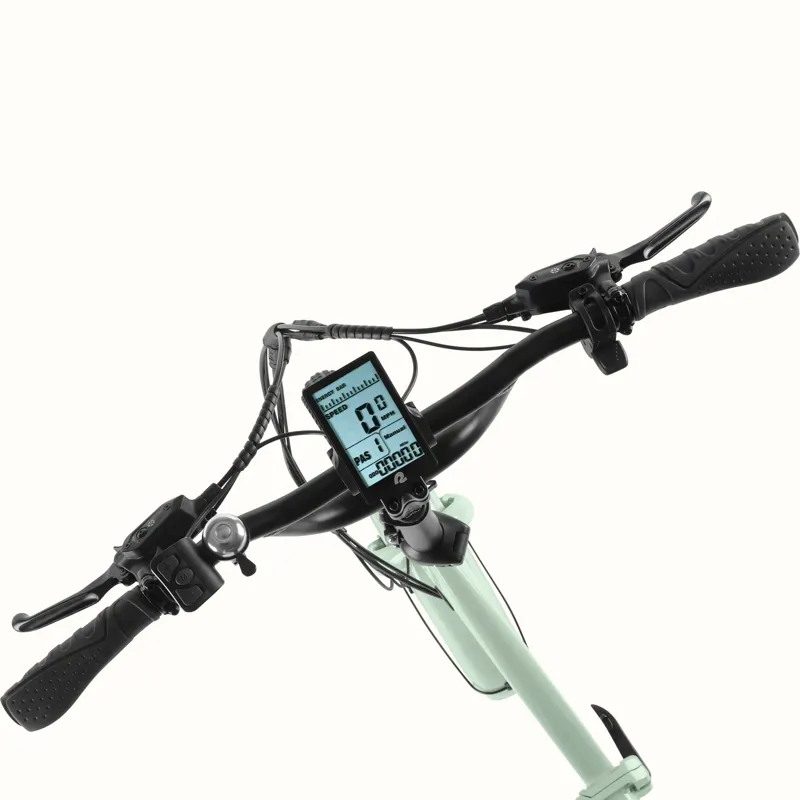 Retrospec Boca Rev Electric Tricycle 48V/500W - Matcha -5