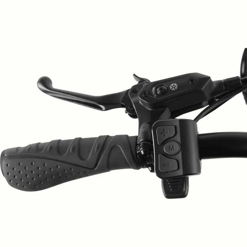 Retrospec Boca Rev Electric Tricycle 48V/500: Matte Graphite-5