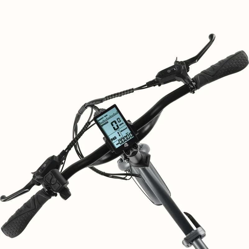 Retrospec Boca Rev Electric Tricycle 48V/500: Matte Graphite-3