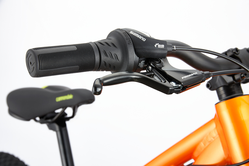 Cannondale Kids Trail 20 Childs Bike-1