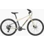 Cannondale Treadwell 1 in Platinum
