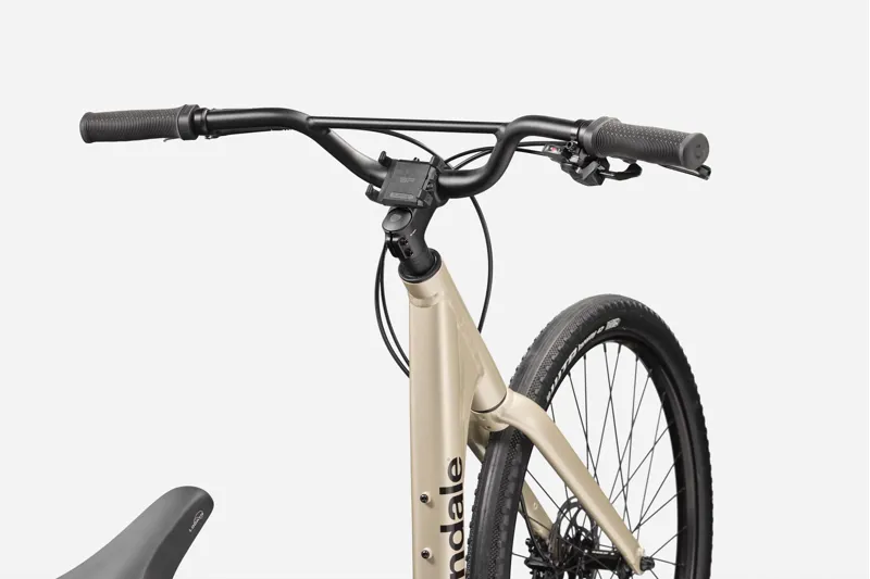 Cannondale Treadwell 1 Low StepThru Platinum-2