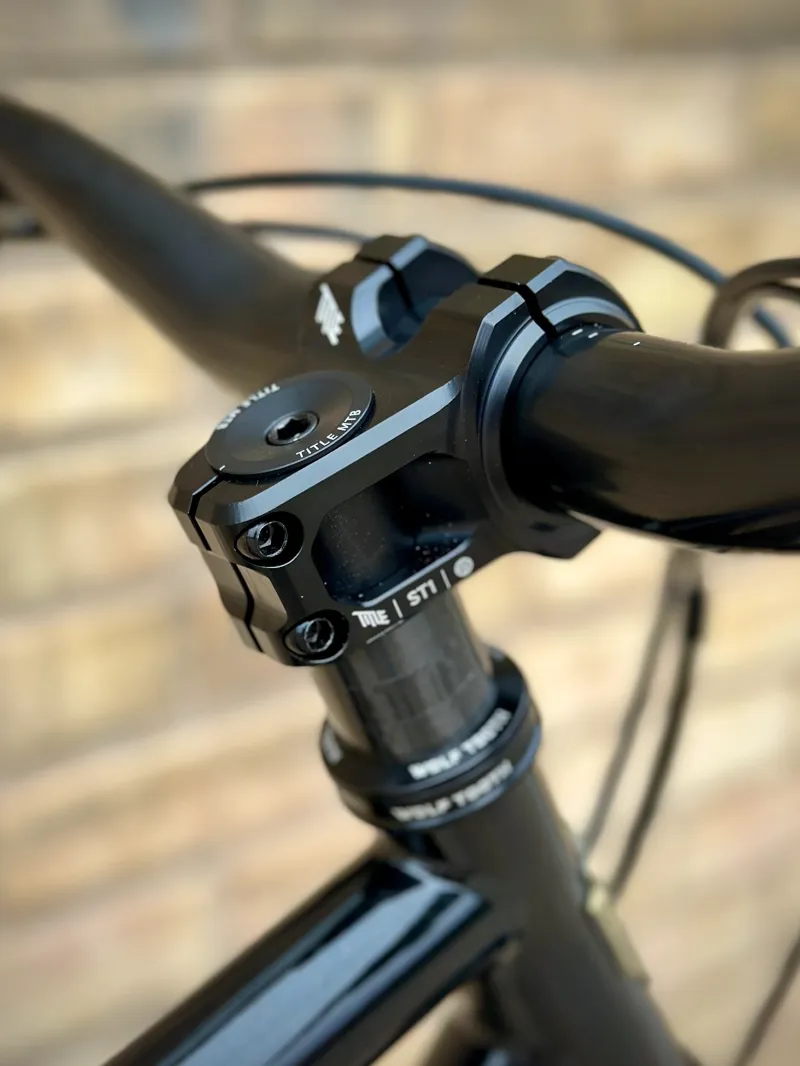 Wilde Dark Star EAGLE 90 ENVE AM30: Black Sparkle/Gold Metal Flake LG-4