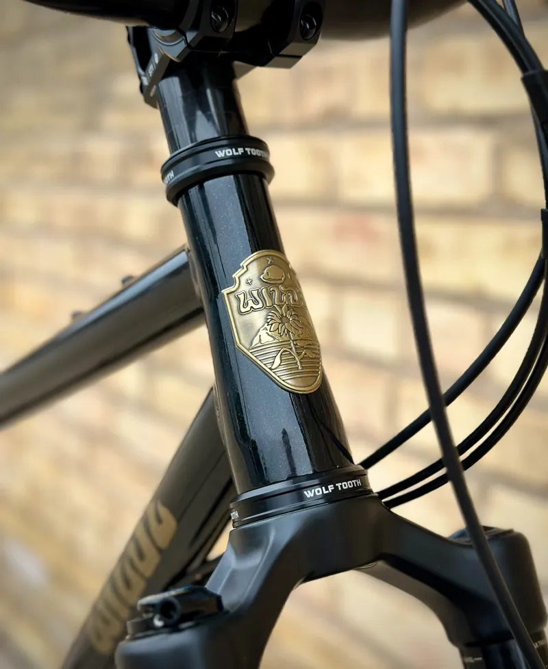 Wilde Dark Star EAGLE 90 ENVE AM30: Black Sparkle/Gold Metal Flake LG-6