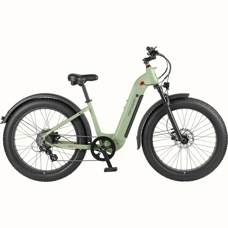 Retrospec Koa Rev+ 2 Fat Tire E-Bike Step Through 48V/750W: Matte Sage-1