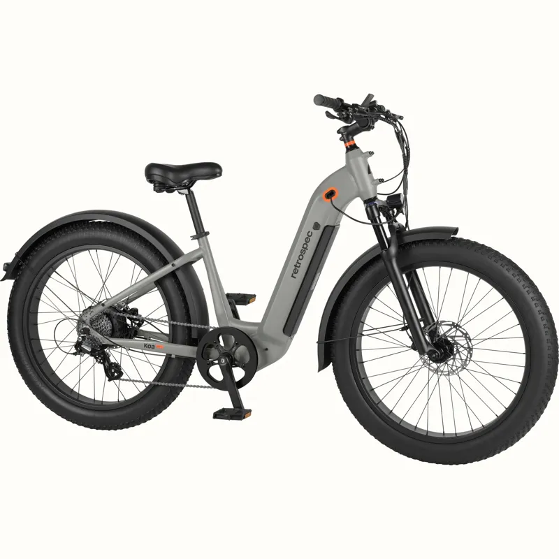 Retrospec Koa Rev+ 2 Fat Tire Electric Step Through 48V/750W: Matte Shale - One Size 26