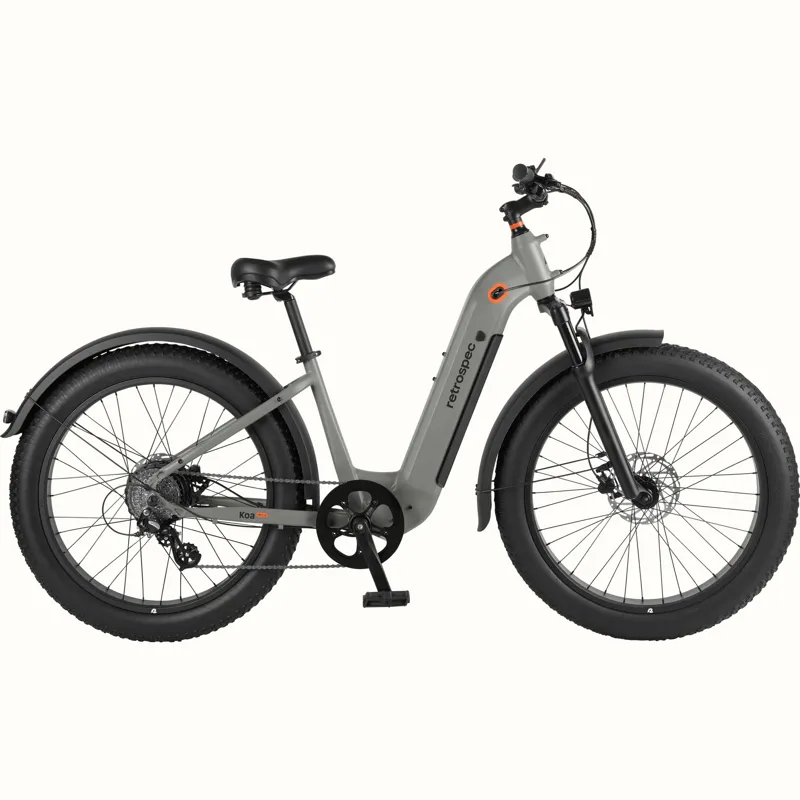Retrospec Koa Rev+ 2 Fat Tire Electric Step Through 48V/750W: Matte Shale - One Size 26-1