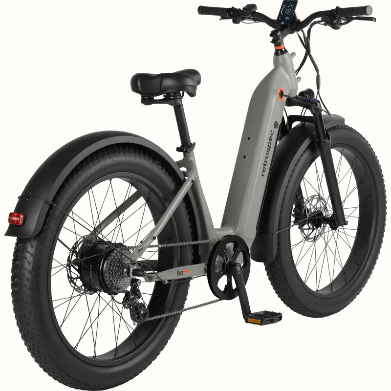 Retrospec Koa Rev+ 2 Fat Tire Electric Step Through 48V/750W: Matte Shale - One Size 26-2