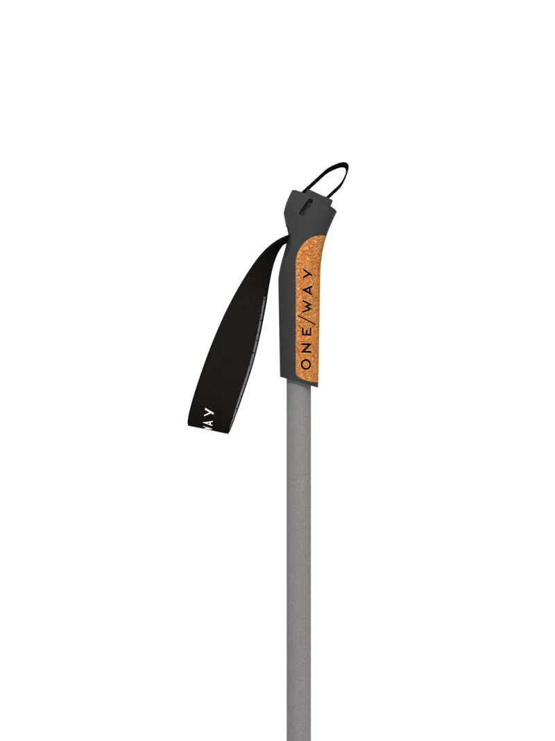 One Way BC Offtrack Poles in Blue/Grey-3