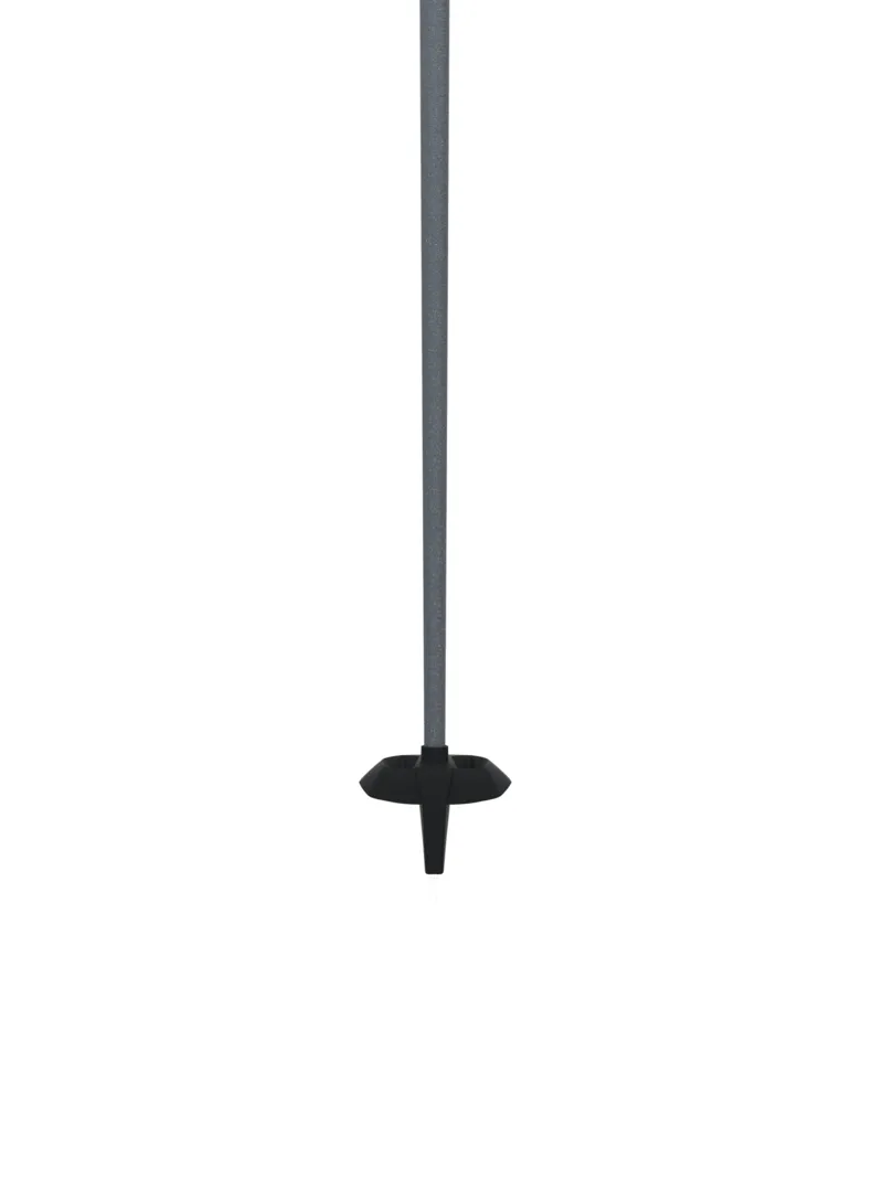 One Way BC Offtrack Poles in Blue/Grey-4