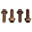 Wolf Tooth Components Water Bottle Cage Bolts in Espresso