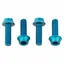 Wolf Tooth Components Water Bottle Cage Bolts in Teal