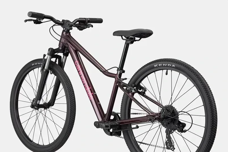 Cannondale Kids Trail 24 2026 in Royal Purple-2