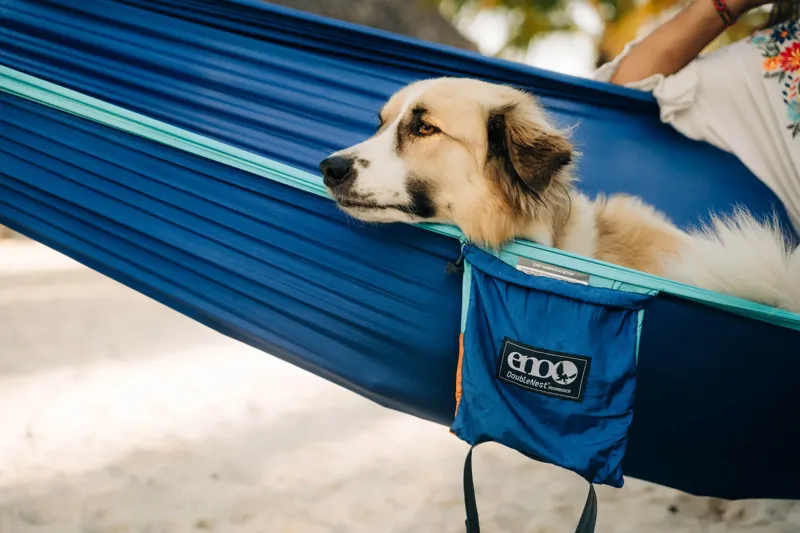 Eno DoubleNest Hammock in Sapphire/Yellow-6