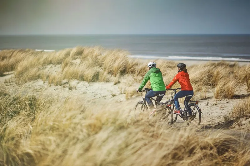 Ergon GP2 Rohloff/Nexus Grips Large in Black-2