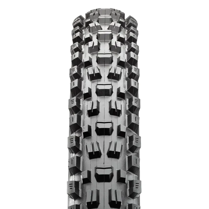 Maxxis Assegai 3C MaxxTerra EXO+ Wide Trail Tire 29 x 2.5 in Black-1