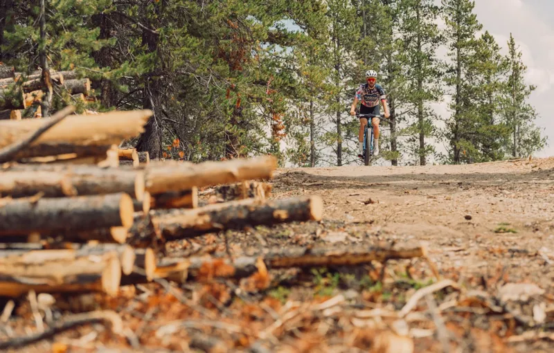 Santa Cruz Highball Eagle 90 in Teal-2