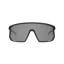 Tifosi Optics MOAB Sunglasses Blackout Frame in Black