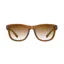 Tifosi Optics Swank Sunglasses in Brown Fade