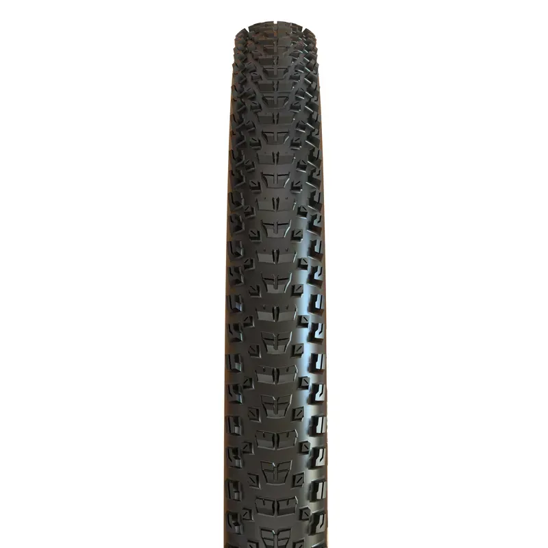 Maxxis Rekon 3C Maxx Terra EXO+ 29x2.4-inch Wide Trail TL Fld. Tire-1