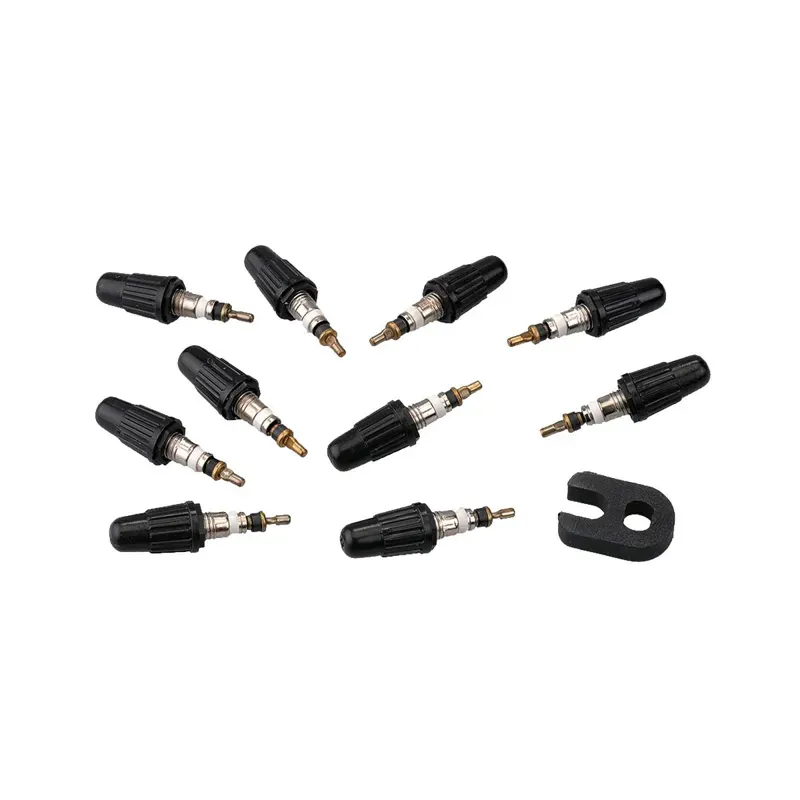 Vittoria Presta Valve Cores w/Tool in Black